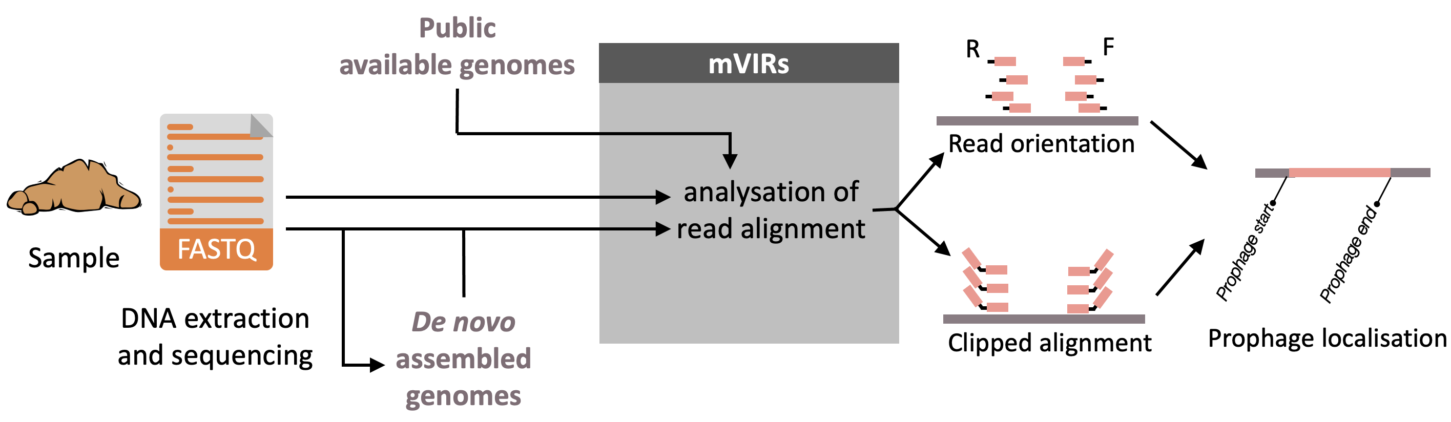 mVIRs_abstract